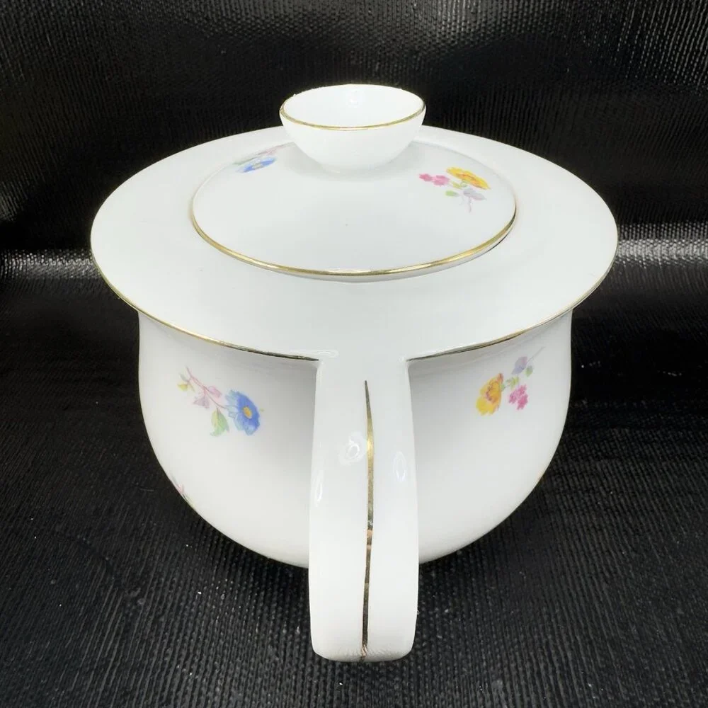 DRASCHE BUDAPEST Fine Porcelain Teapot Carafe Tea Pot Multicolored‎ Floral VTG